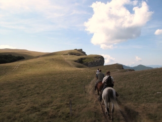  Salidas a caballo en el departamento del Loira - 999 - TREC Curso Loira 
